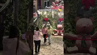 3 усієї України їдуть до ЛьвоваЩоб випити ароматної кави, зʼїсти найсмачніший сирник і зняти TikTok