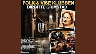 En svensk konstabel i Sverrig