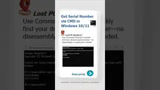 Find Your PC Serial Number with One CMD Command! #cmd #windowstips