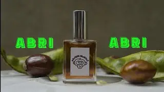 TABRAKLARI X KELAS PAGI - ABRI (Official Music Video)