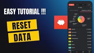 How to Reset App Data in Money Manager 2025?