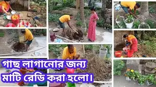 Winter Village Daily Routine || বাড়িতে অনেক নতুন গাছ আনা হয়েছে। তার জন্যই মাটি রেডি করা হলো |
