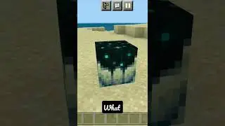 End portal block Minecraft