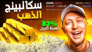 استراتيجية سكالبينج الذهب بنسبة نجاح 83% (الدليل الكامل)