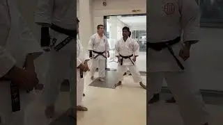 WSKF 🥋 KARATE SEMINAR AISKU