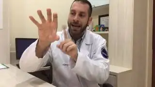Live Facebook - Meu cachorro engoliu um objeto. E agora?