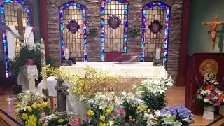 The Celebration of the Eucharist (TV Mass)