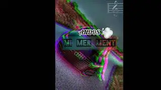ANDOS - MI MER MENT