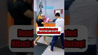 Beautifully Executed Attack Combos in Boxing! #BoxingCombos #FightSkills