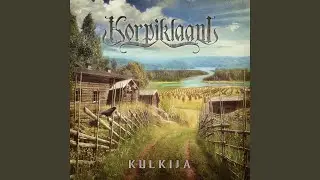 Korpikuusen kyynel