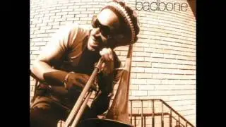 Dennis Rollins' Badbone & Co - Shake It Down