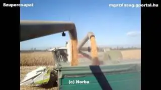Szupercsapat - Corn Harvest 2011 (4x Claas Lexion, 4x MAN, JD 6420)