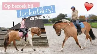 Instafamous LOOKALIKE & rijden op de grote vriendelijke REUS! | felinehoi LOOKALIKE #2