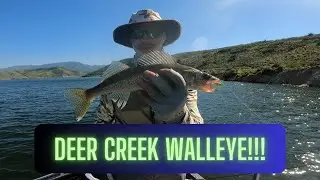 Deer Creek Reservoir Walleye