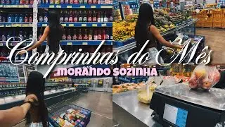 COMPRINHAS DO MÊS PARA MINHA KITNET - MORANDO SOZINHA AOS 18 ANOS💗