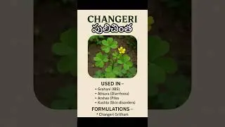 CHANGERI - BENEFITS