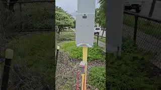 Koolbardi Park Dog Park Review | Carlisle, WA 8/10