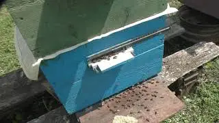 ОБЪЕДИНЕНИЕ ЗАВЕРШИЛОСЬ.