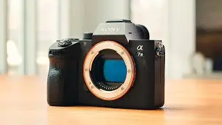 Сможет ли Sony A7 III конкурировать с более новыми камерами?