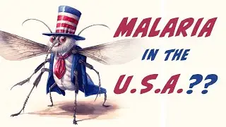 Can you get malaria in the United States? Maybe soon.