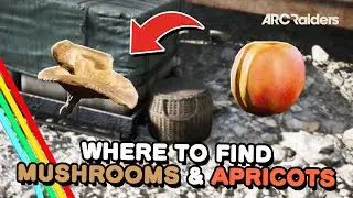 Where to find Mushrooms and Apricots in Arc Raiders
