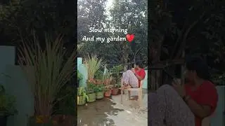 Slow morning n my garden#yt#youtubeshorts#shorts#garden#gardening#slowmorning#slowmoreels#happyplace