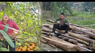 Cut down a cart of wild banana trees to feed ducks. Pick oranges for customers.