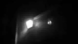 Rumble Fish Trailer