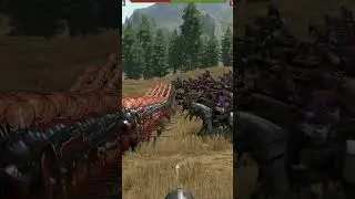 My shield wall is unbreakable! #bannerlord #mountandblade #mountandblade2 #vlandia #sturgia #shorts