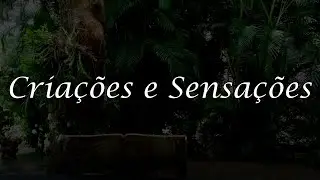 Criações e Sensações