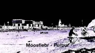 Moosfiebr - Purpur (MBF LTD 12068)