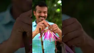 Hand-made necklace from Lotus flower in SriLanka