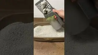 Este recogedor para gatos no decepciona 😻
