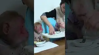 Bibi monkey verry smart   #bibi #lala