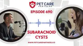 EP 690: Subarachnoid Cysts in Pets: Diagnosis, Neurologic Signs & Treatment Explained