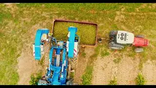 AIGUES-VIVES | Teaser promotionnel