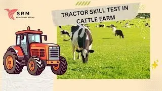 Tractor Technical Assessment in Cattle Farm