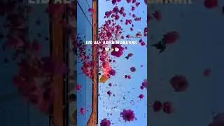 Aap sabhi ko eid ul adha Mubarak ho #magic#letter#room#
