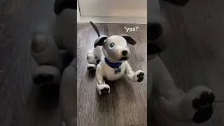Meet Casper! One of the most advanced consumer Ai Robots.  #fyp  #aibo
