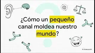 CANAL AUDITIVO INTERNO PEDI&Aacute;TRICO: Volumen, Crecimiento y Diferencias de Sexo | SciSumm Anatom&iacute;a