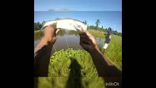 Found A Honey Hole!(BassFishing)