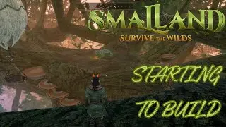 STARTING TO BUILD |SMALLAND SURVIVE THE WILDS E2