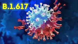 What is B.1.617, B.1.1.7 & N440K COVID Variant?