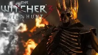 The Witcher 3 Final Boss + Ending 1080p HD