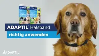 ADAPTIL Calm Halsband Anwendungstipps