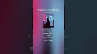 Weathered Successes(Synthwave)