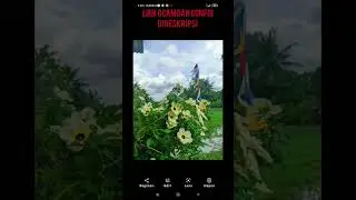 CONFIG COLORFUL SHAMIM V21 | tes poco M3 pro 5G #shorts #gcam #shamim