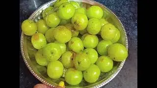 Healthy Amla Chutney & Pickle | आवले का स्वाद और सेहत दोनों | Immunity Booster Recipe