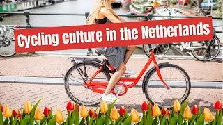 Cycling culture in the Netherlands 🚲 🇳🇱 Discovering Dutch Cycling Culture!