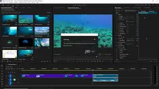 Adobe Premiere 2025: How to Add Freeze Hold, Add Marker
